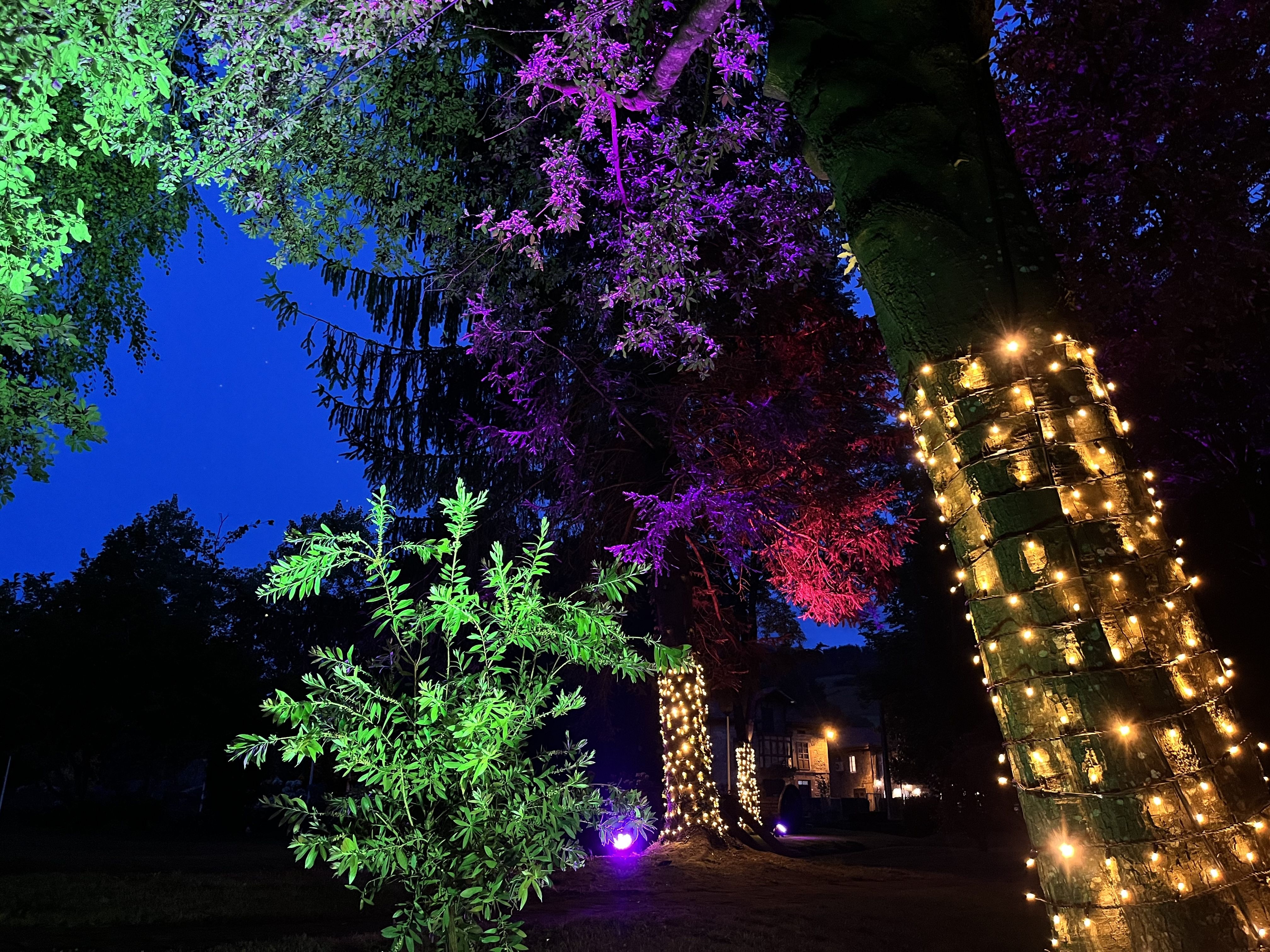 Jardines & Exteriores Bilbao